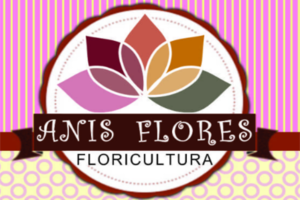 Anis Flores