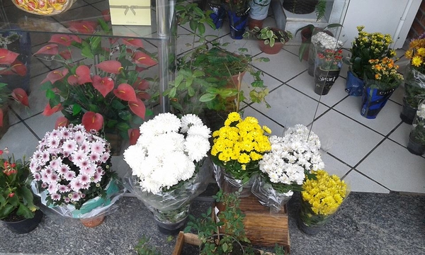 Flores Naturais