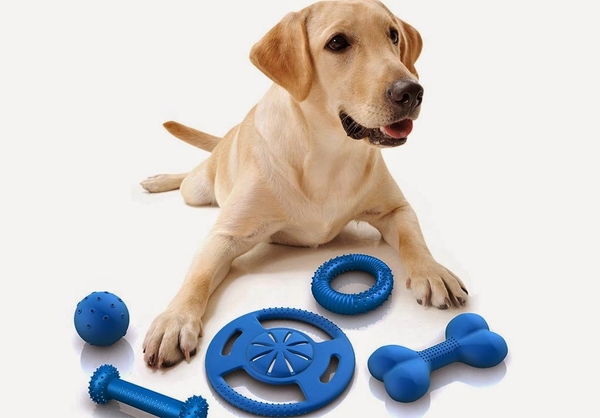 Brinquedos para Animais