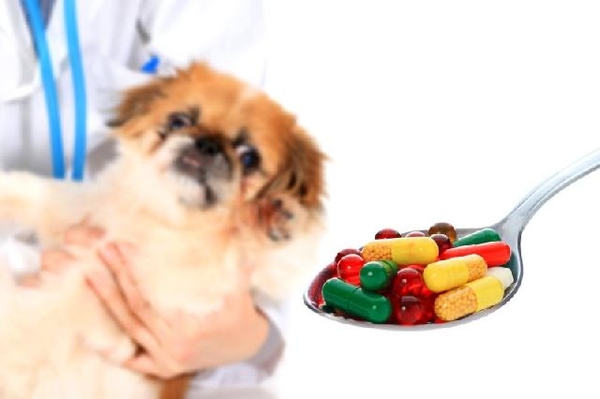 Medicamentos para Animais