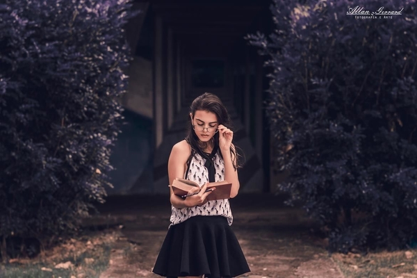 Book 15 anos